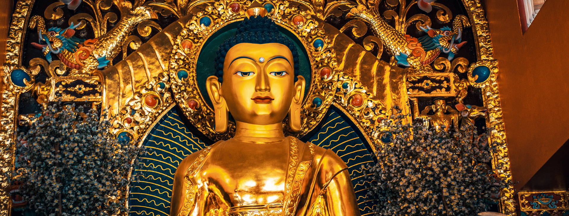 Ubytování INN Obrázok33