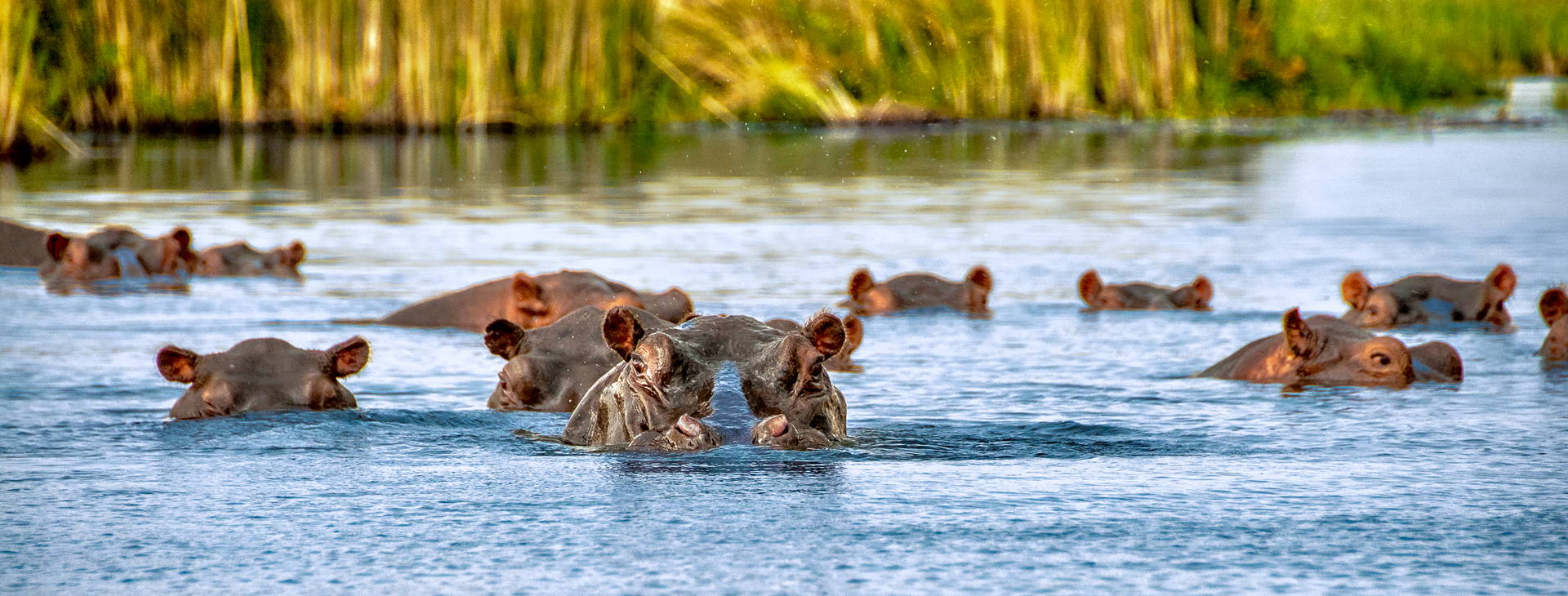 Baobab Beach Resort and Spa KST Obrázok8