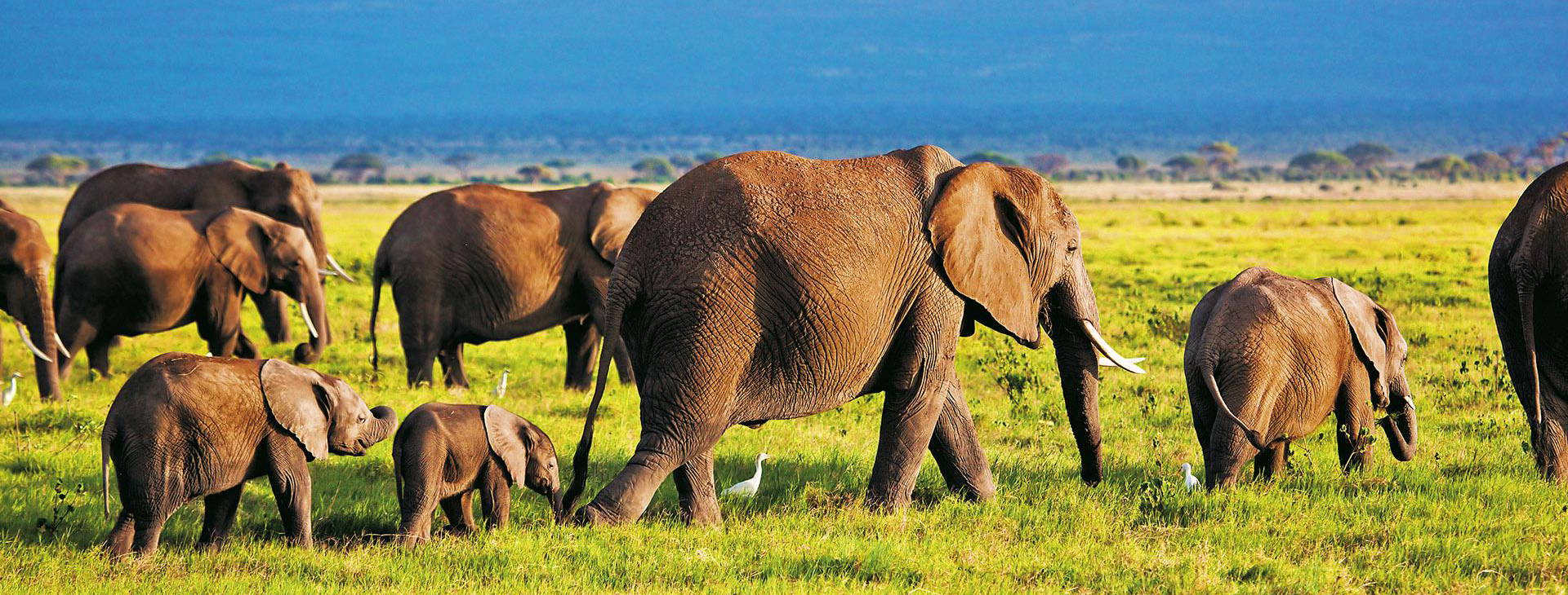 Bamburi Beach KSS Obrázok10