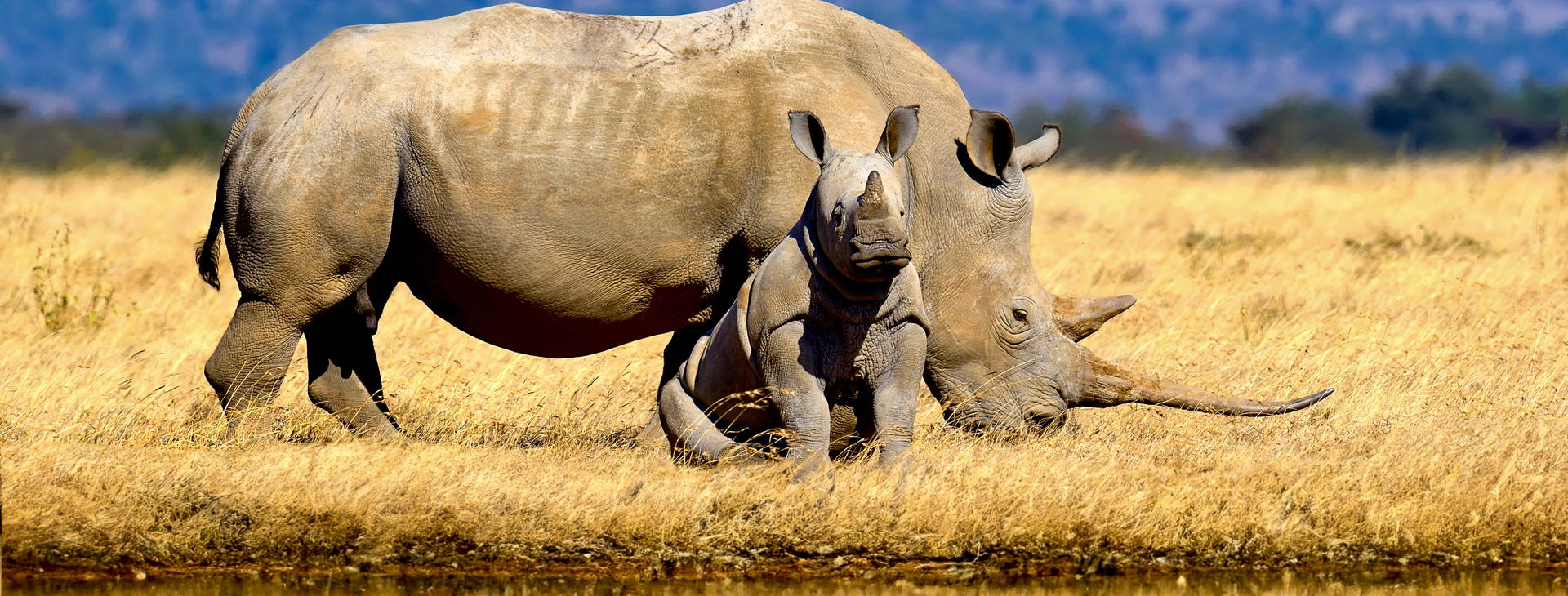 Bamburi Beach KSS Obrázok7