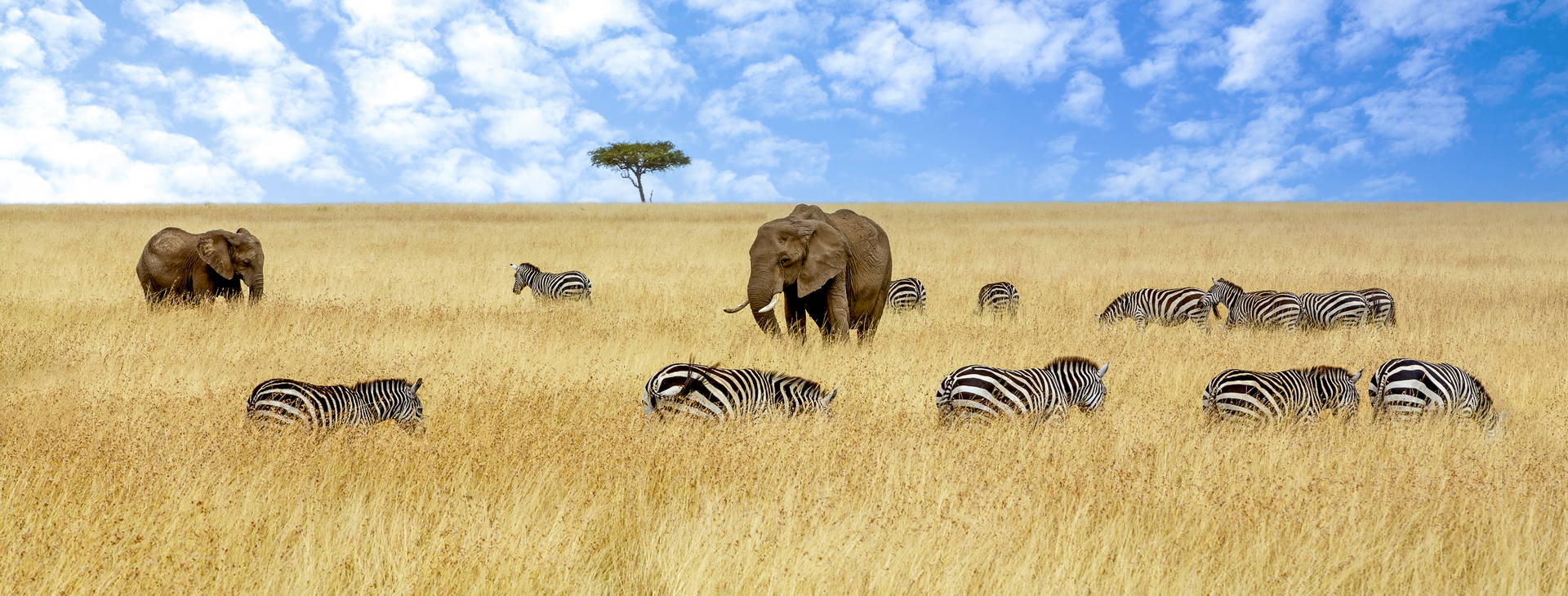 Bamburi Beach KSS Obrázok5