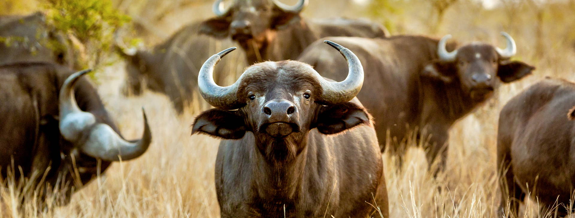 Bamburi Beach KSS Obrázok13