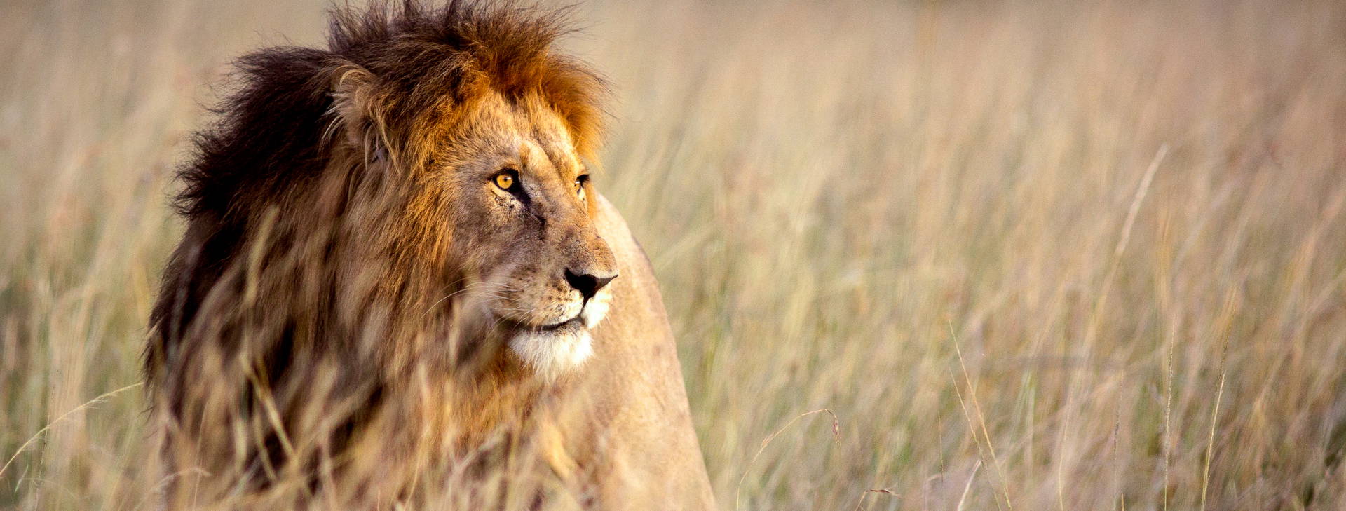 Bamburi Beach KSS Obrázok2