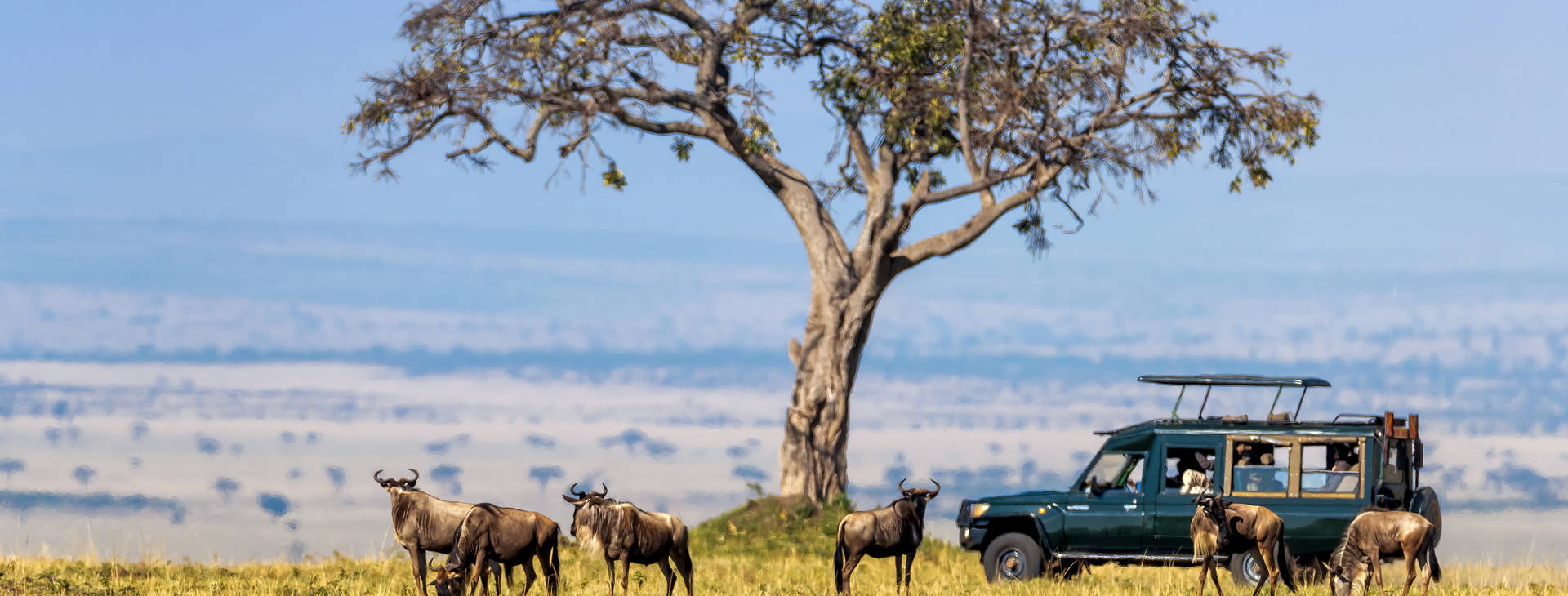 Bamburi Beach KSS Obrázok15