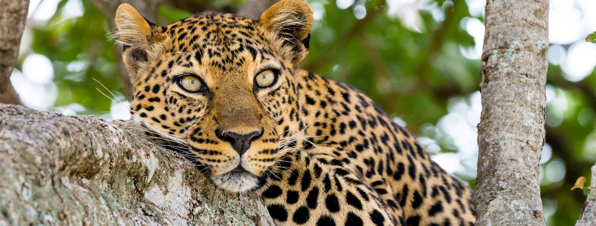 Bamburi Beach KST Obrázok4