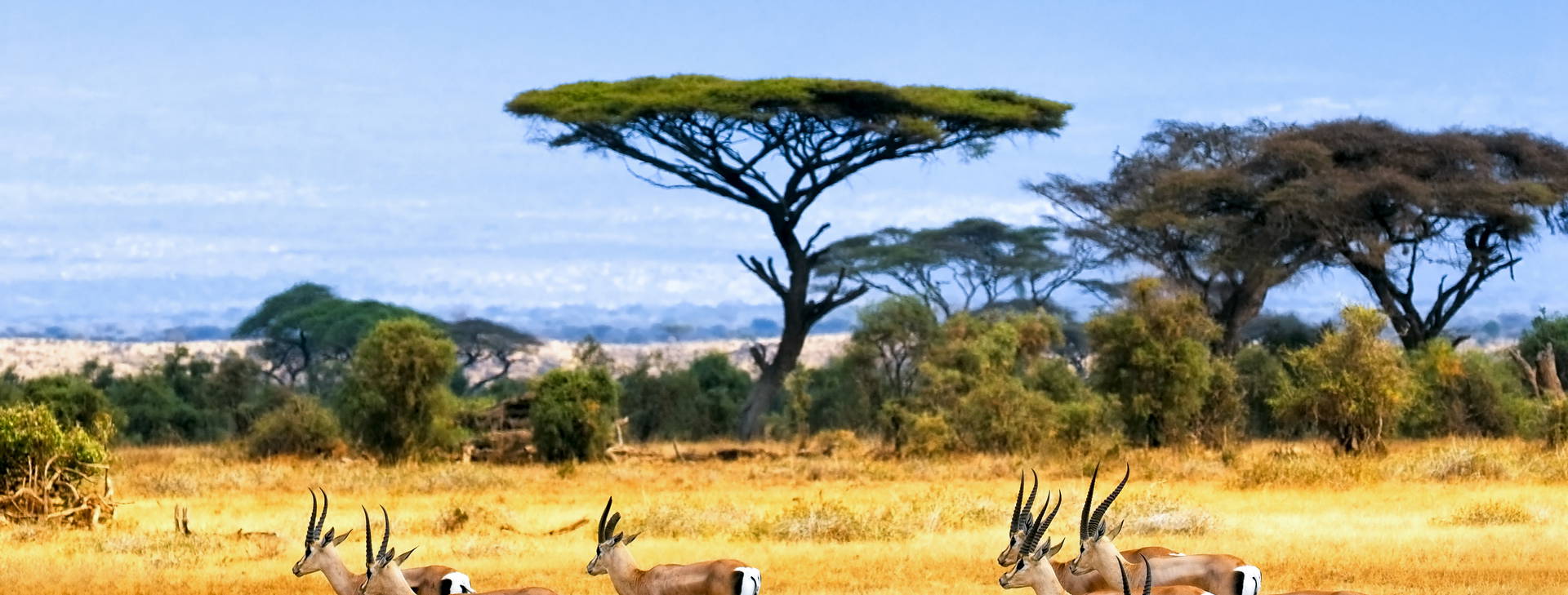 Bamburi Beach KST Obrázok5