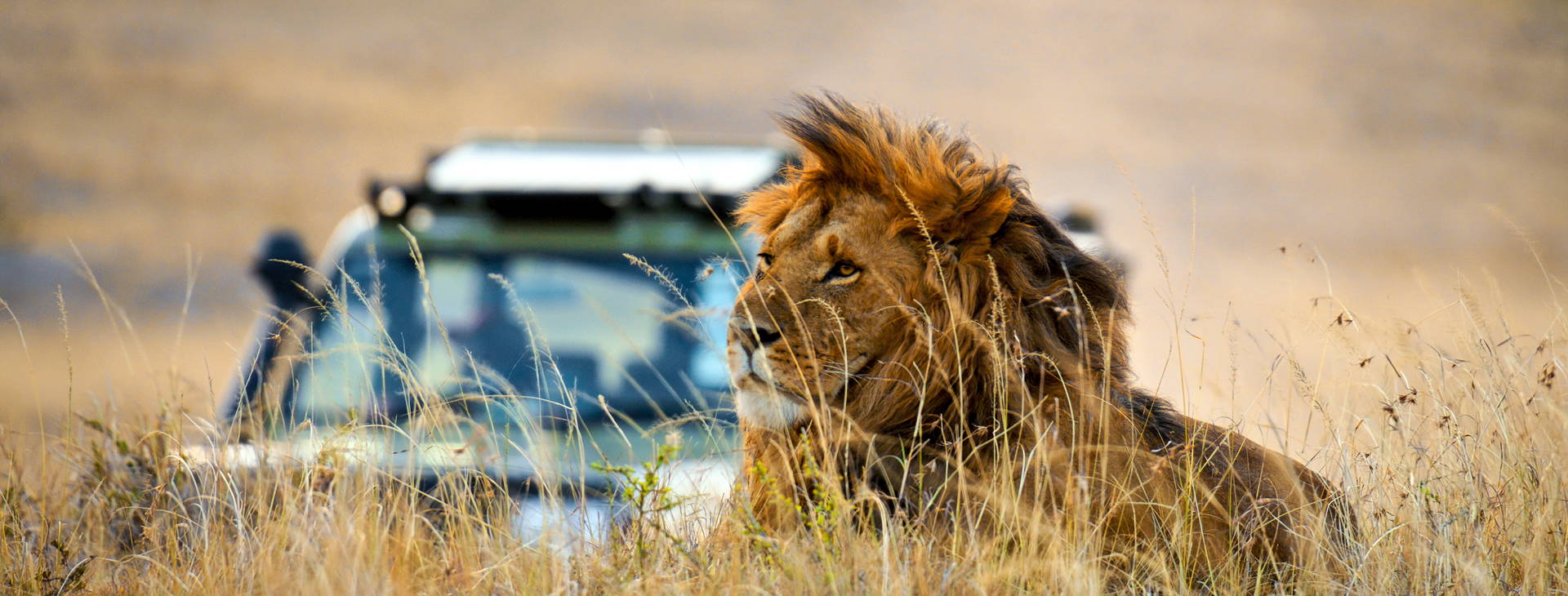 Bamburi Beach KST Obrázok8