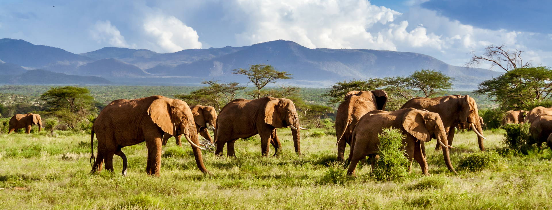 Bamburi Beach KST Obrázok7