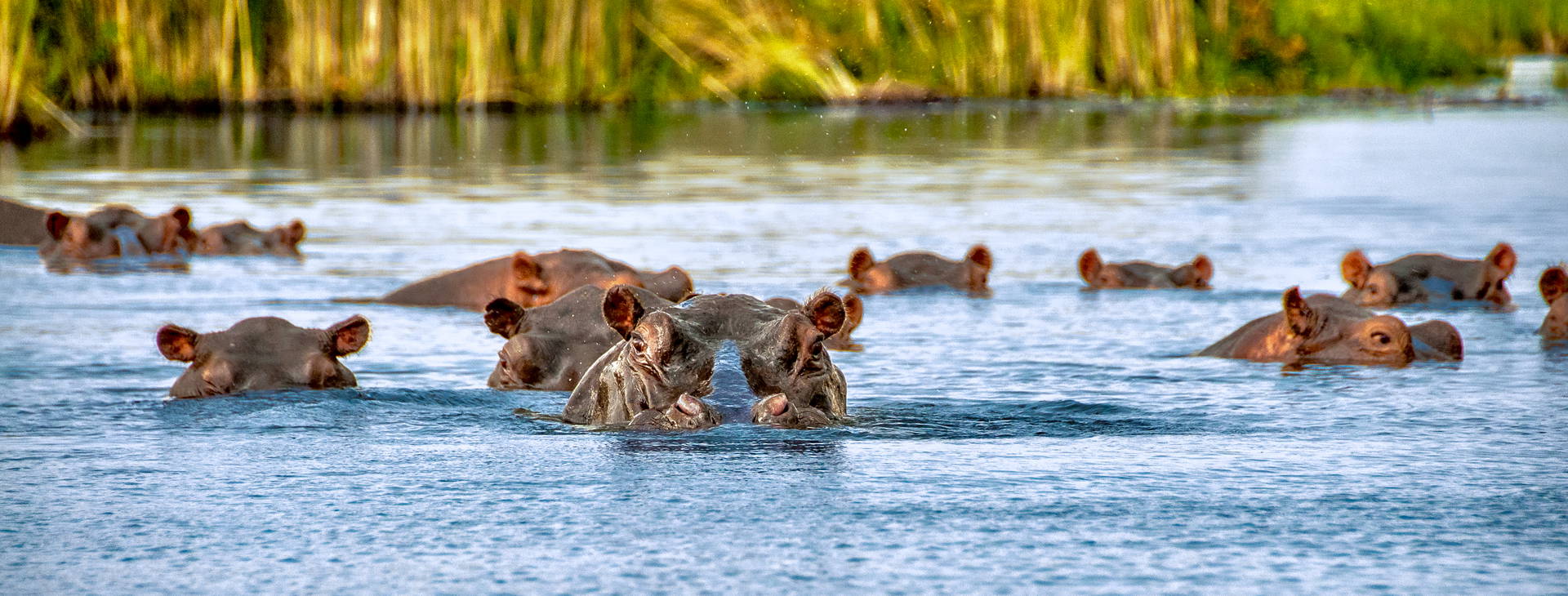 Bamburi Beach KST Obrázok9
