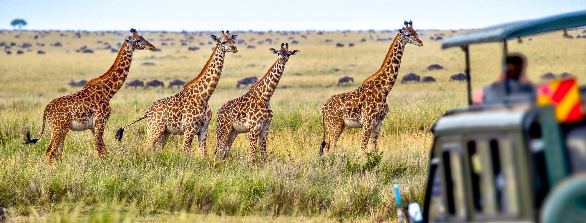 Bamburi Beach KST Obrázok13