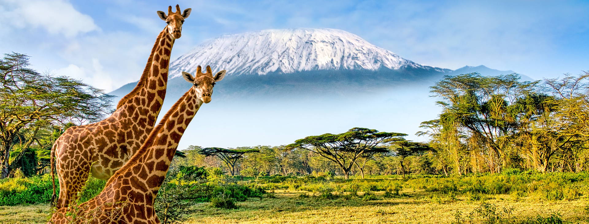 Bamburi Beach KST Obrázok1