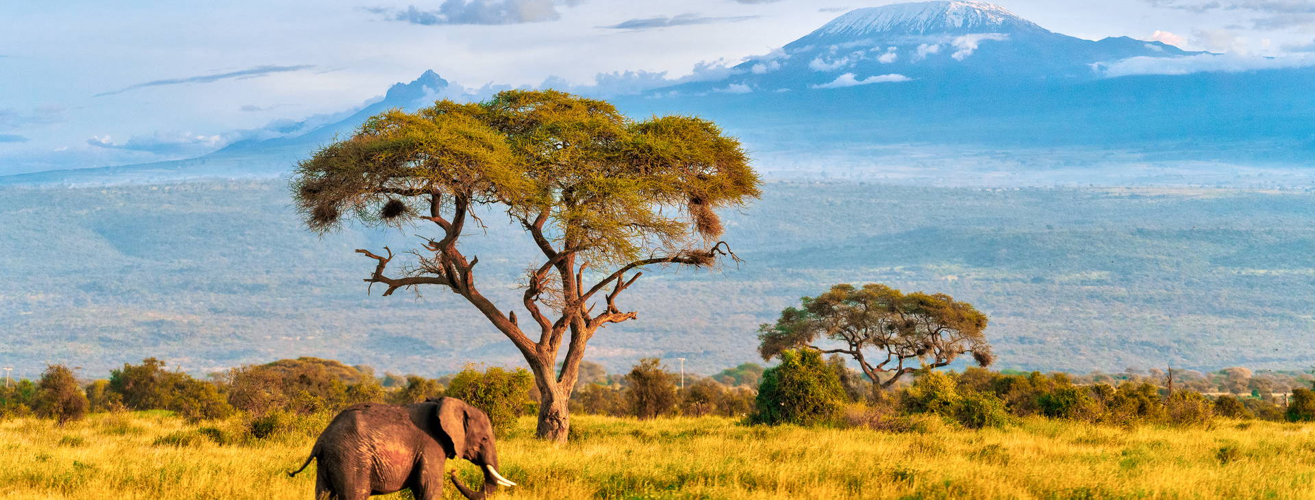 Bamburi Beach KST Obrázok14