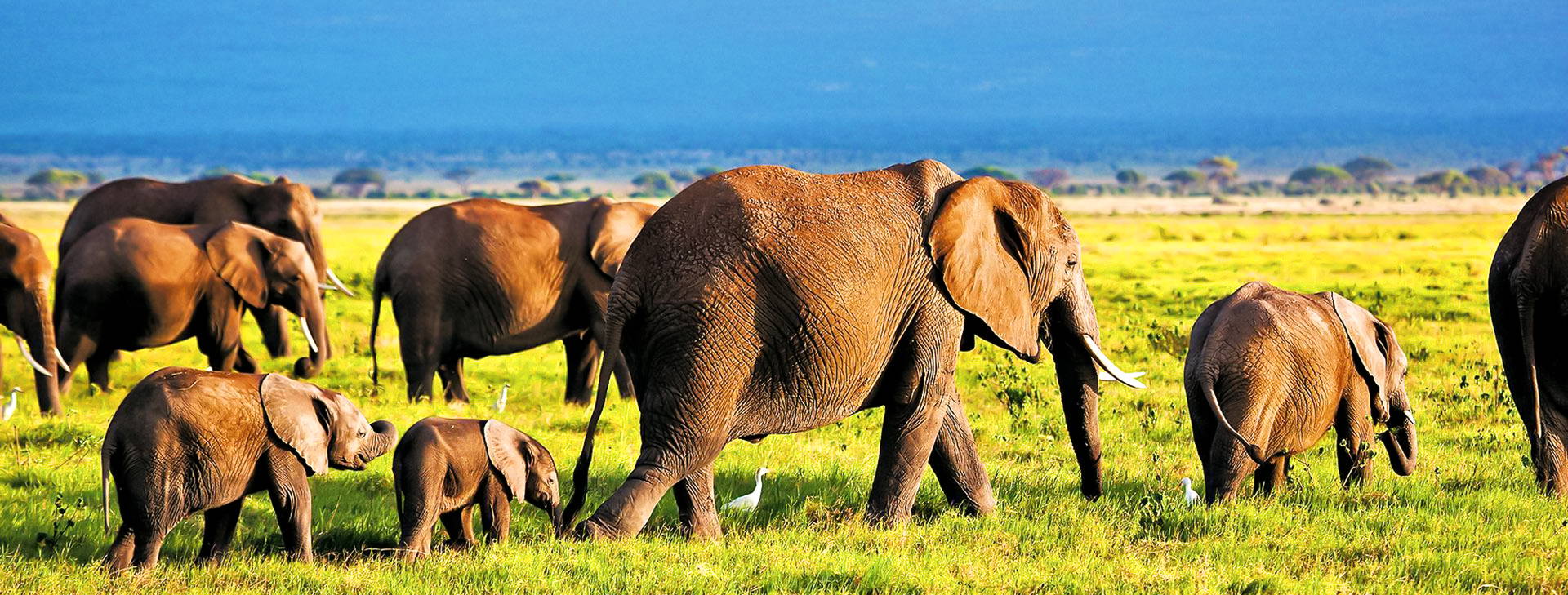 The Sands at Chale Island KSS Obrázok30