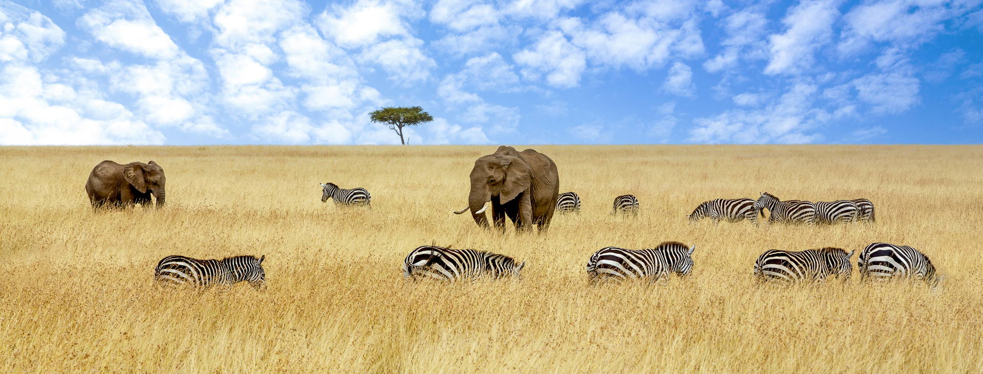 The Sands at Chale Island KSS Obrázok32