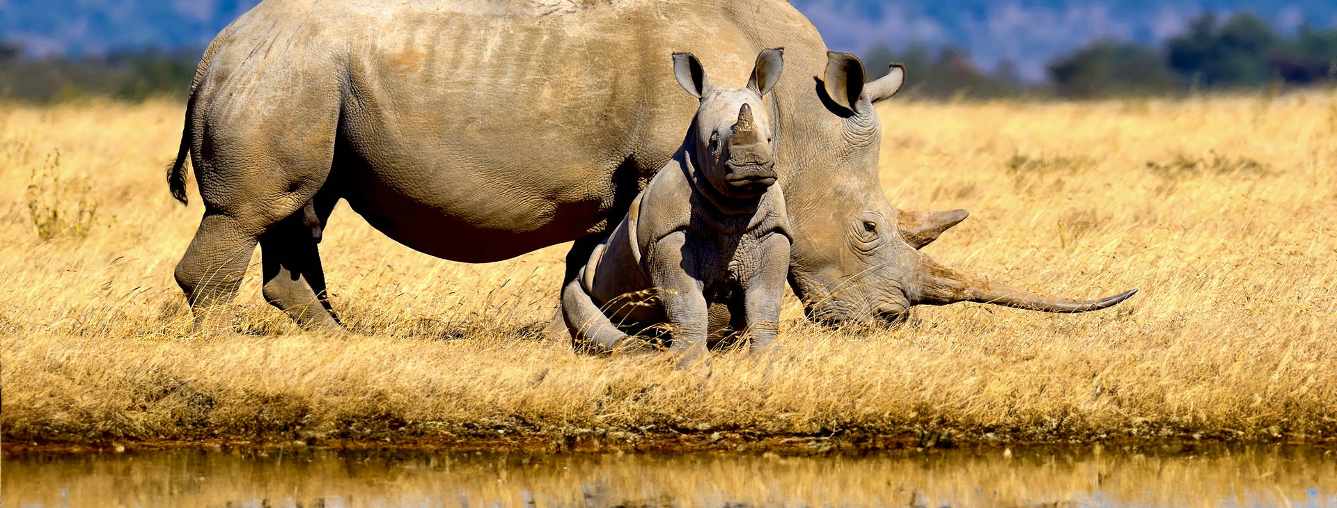 The Sands at Chale Island KSS Obrázok39