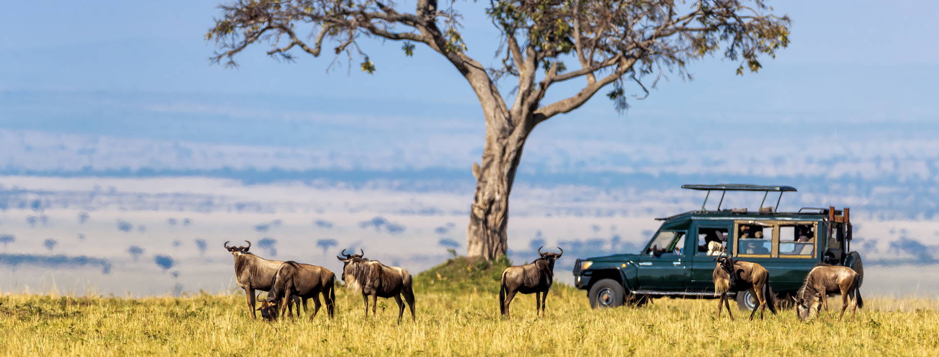 The Sands at Chale Island KSS Obrázok42