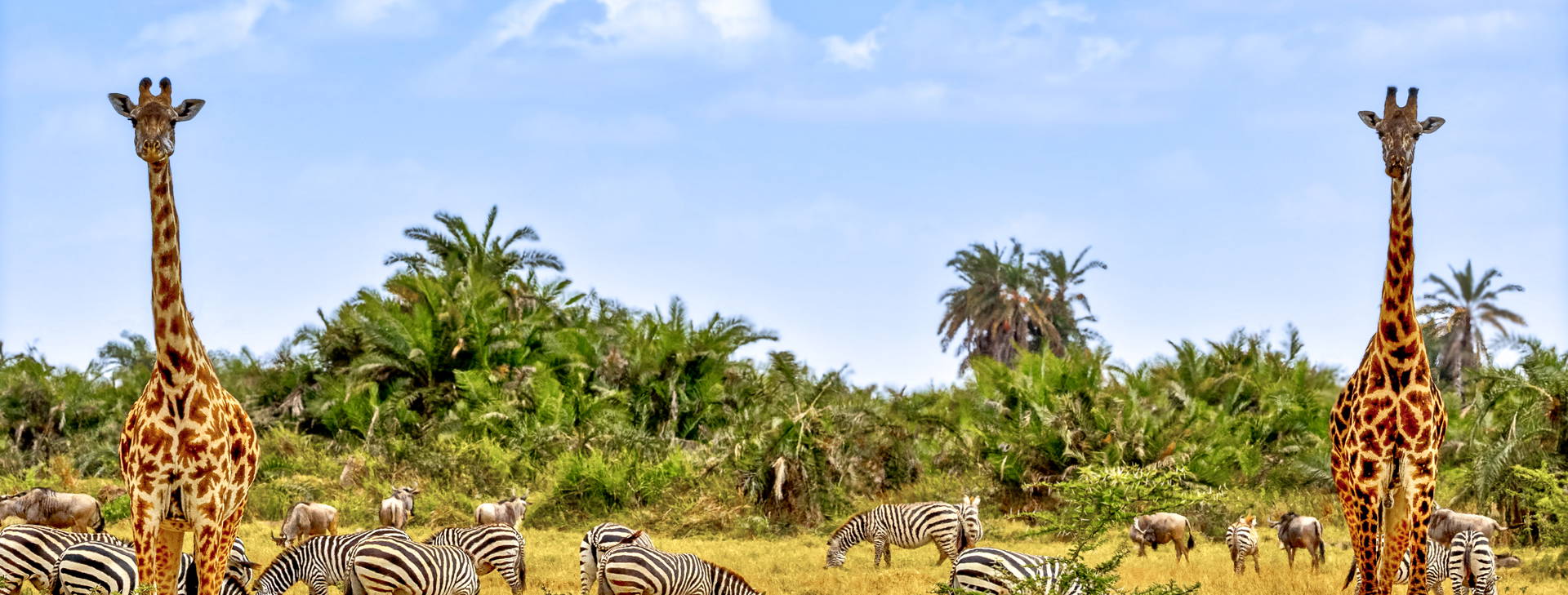 Bamburi Beach KST Obrázok2