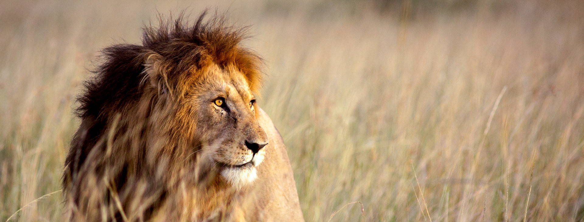 Diani Sea Lodge (4 noci + poznávací část 3 noci) Obrázok6