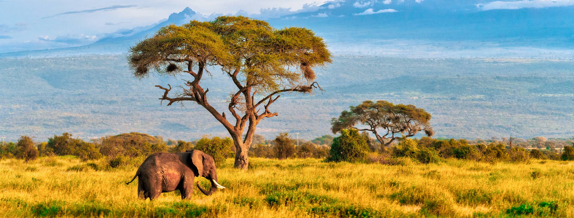 Diani Sea Lodge 3 noci + poznávací část 4 noci Obrázok8