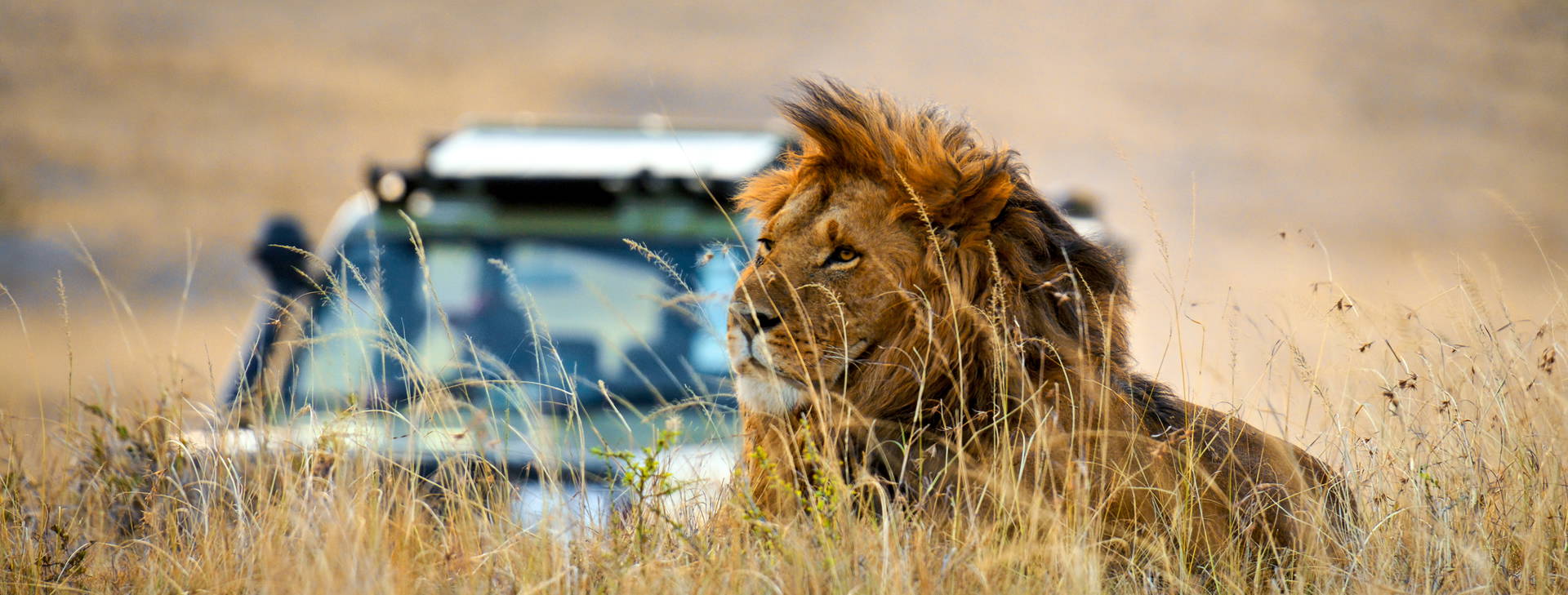Diani Sea Lodge 3 noci + poznávací část 4 noci Obrázok13