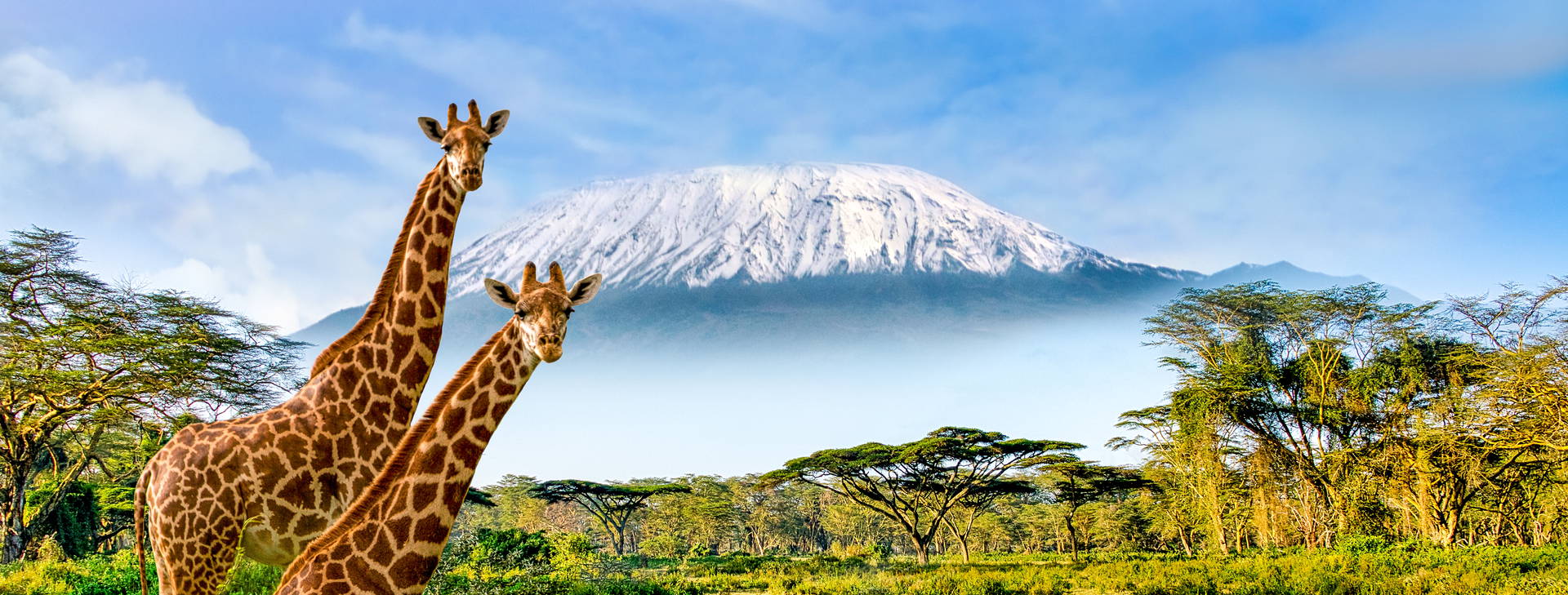 Diani Sea Lodge 3 noci + poznávací část 4 noci Obrázok14