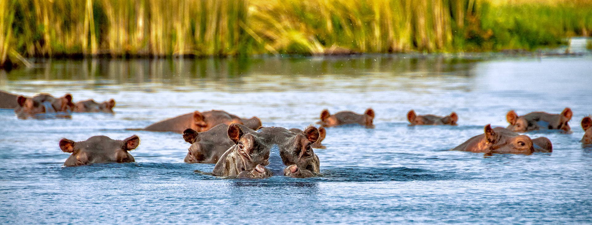 Diani Sea Lodge 3 noci + poznávací část 4 noci Obrázok4
