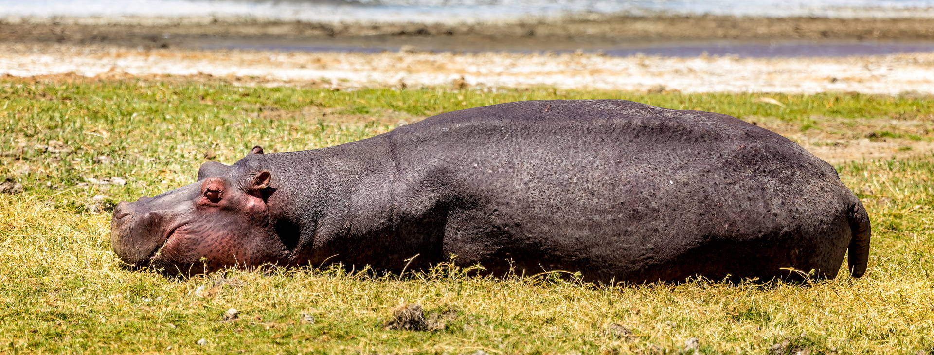 Diani Sea Lodge 3 noci + poznávací část 4 noci Obrázok7