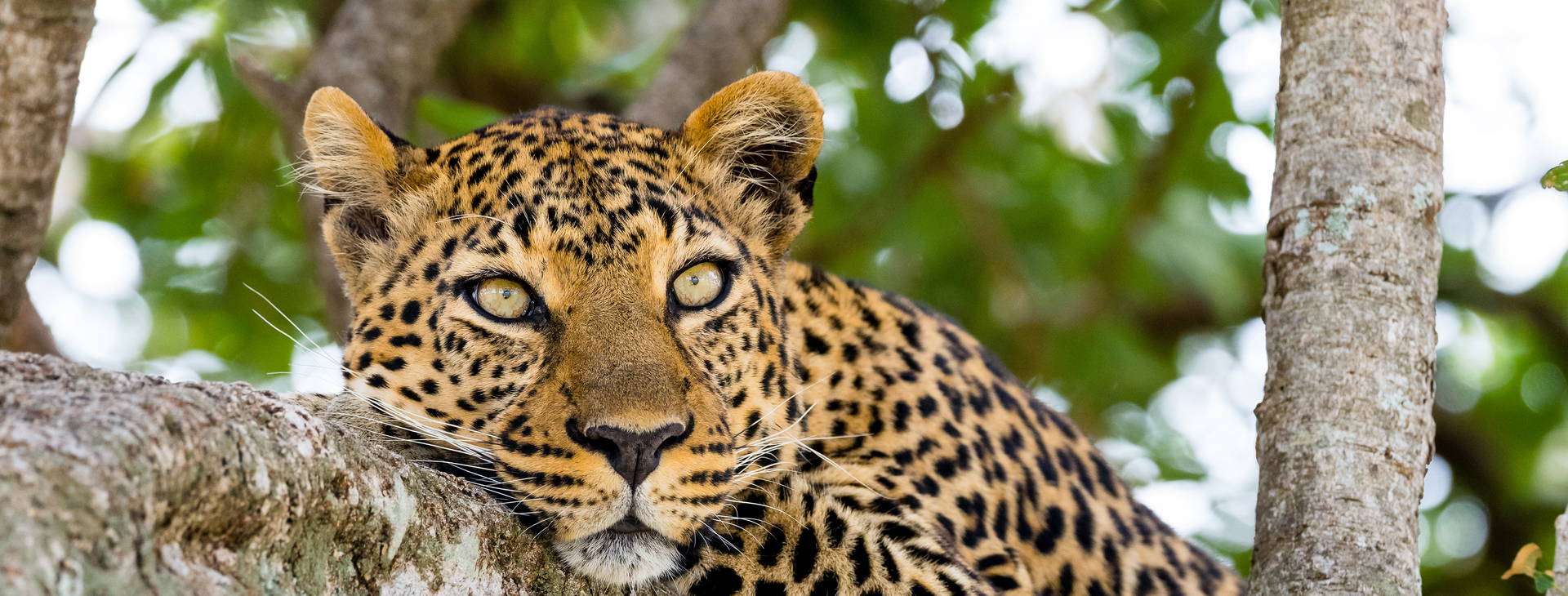 Diani Sea Lodge 3 noci + poznávací část 4 noci Obrázok16