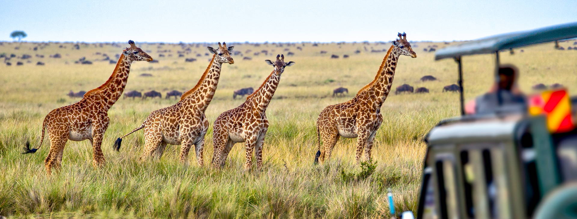 Diani Sea Lodge 3 noci + poznávací část 4 noci Obrázok9