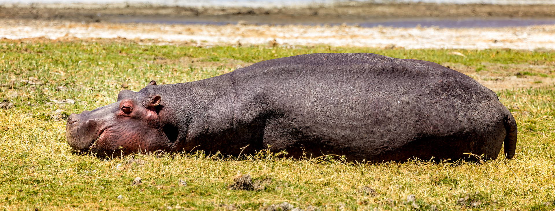 Diani Sea Resort (3 noci + 4 noci poznávací část) Obrázok9
