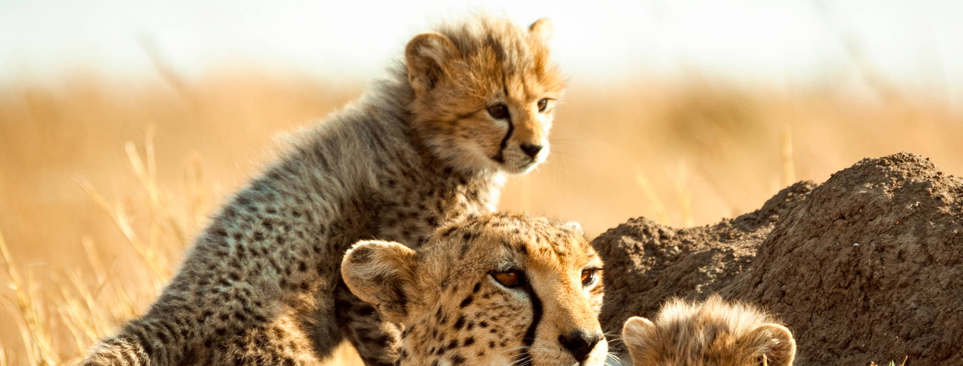 Kenya Bay KSS Obrázok9