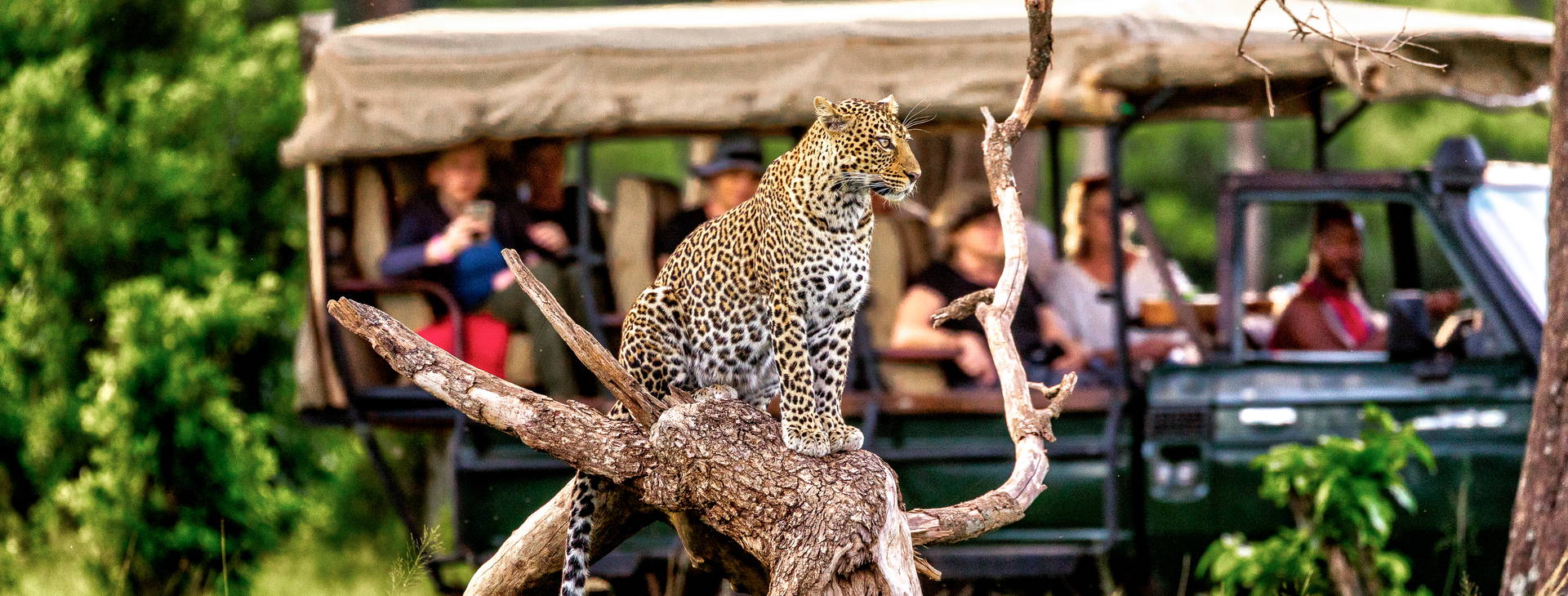 Kenya Bay KSS Obrázok13