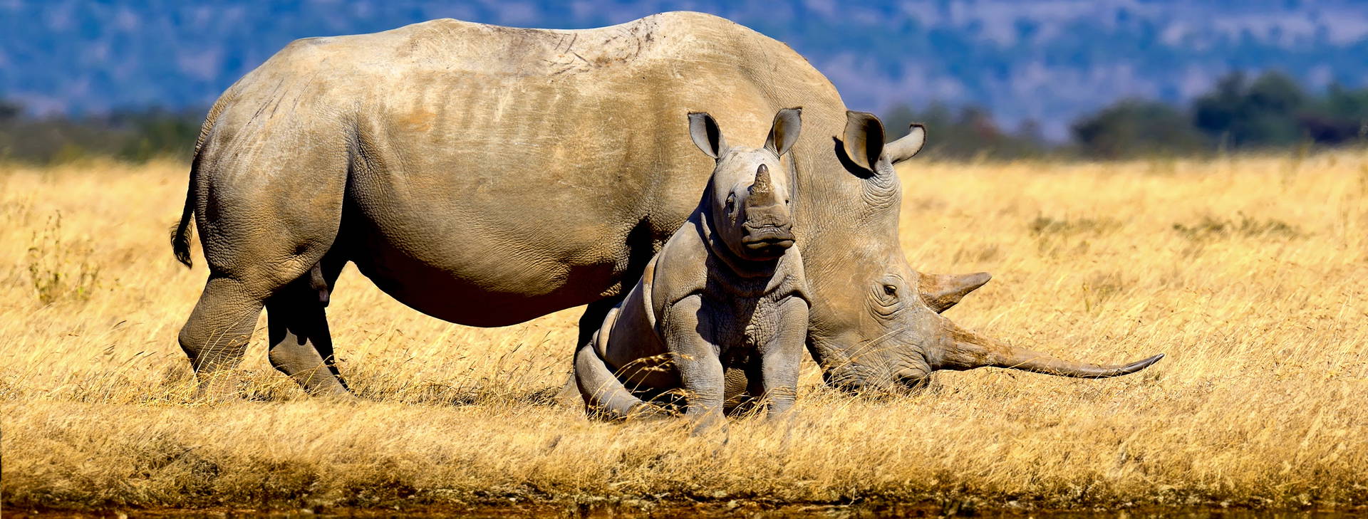 Kenya Bay KSS Obrázok4