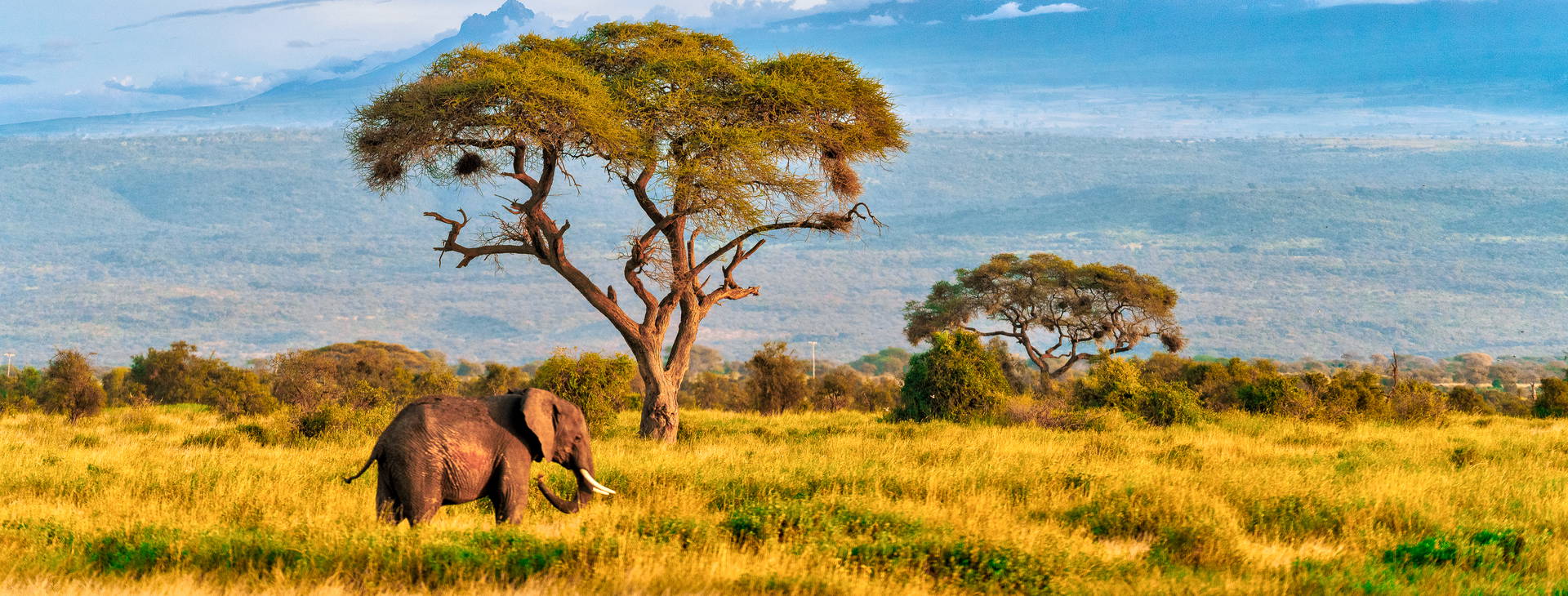 Kenya Bay KST Obrázok13