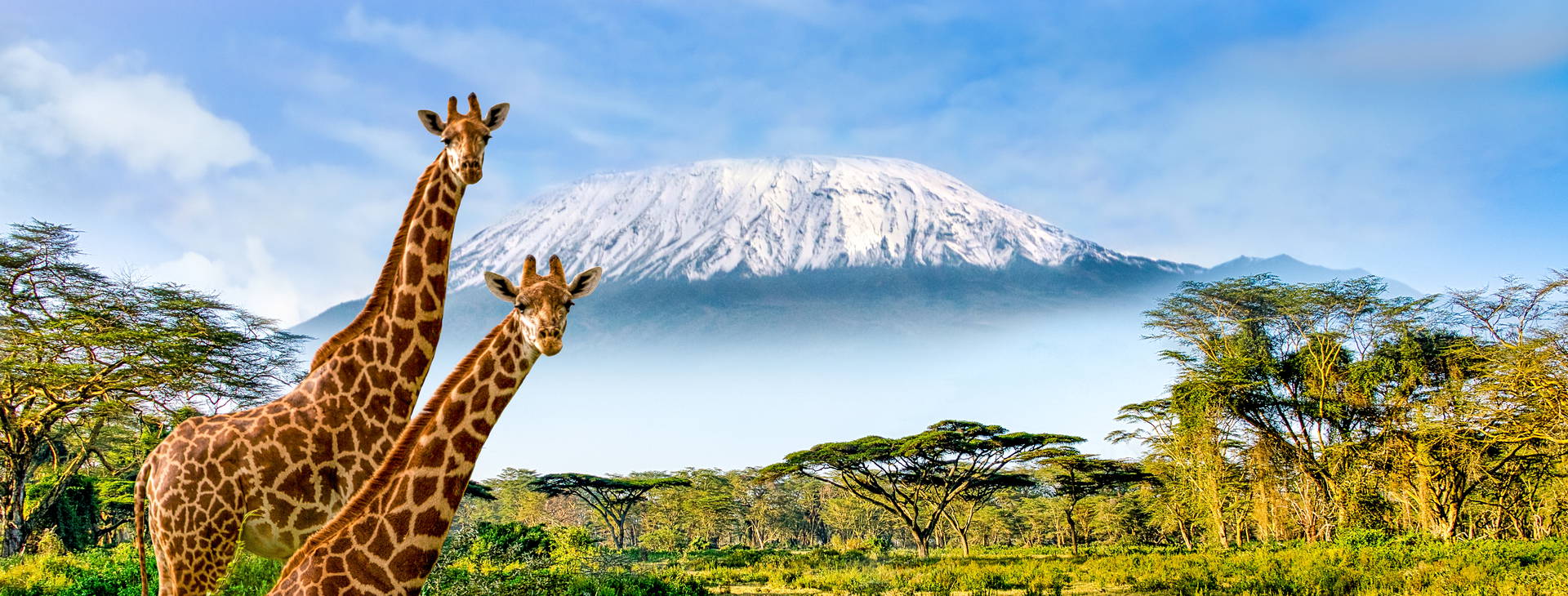 Kenya Bay KST Obrázok18