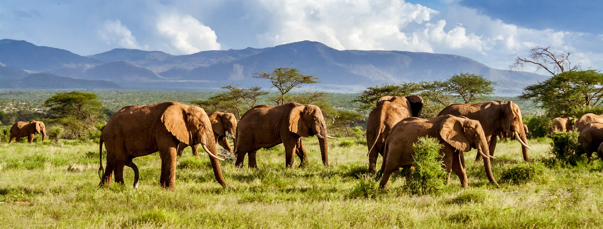 Kenya Bay KST Obrázok4