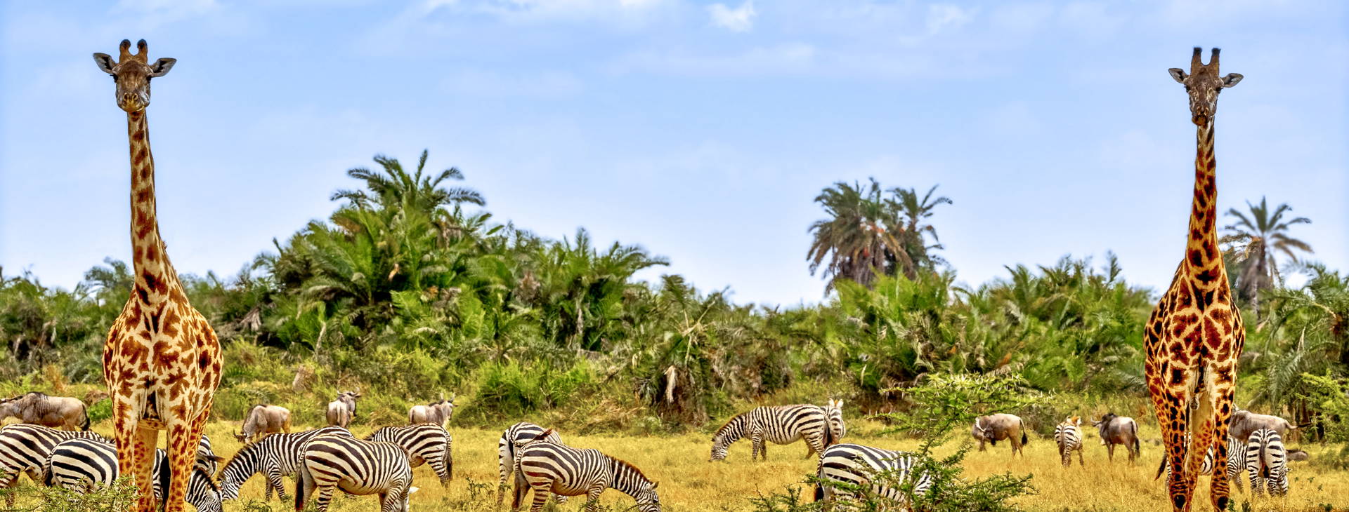 Kenya Bay KST Obrázok2