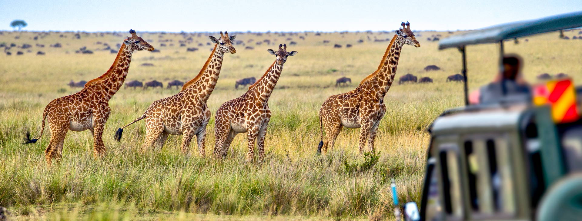 Kenya Bay KST Obrázok9