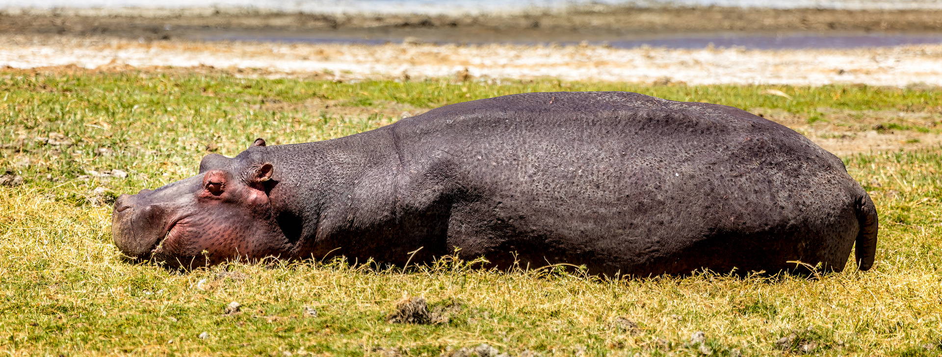 Kenya Bay KST Obrázok7