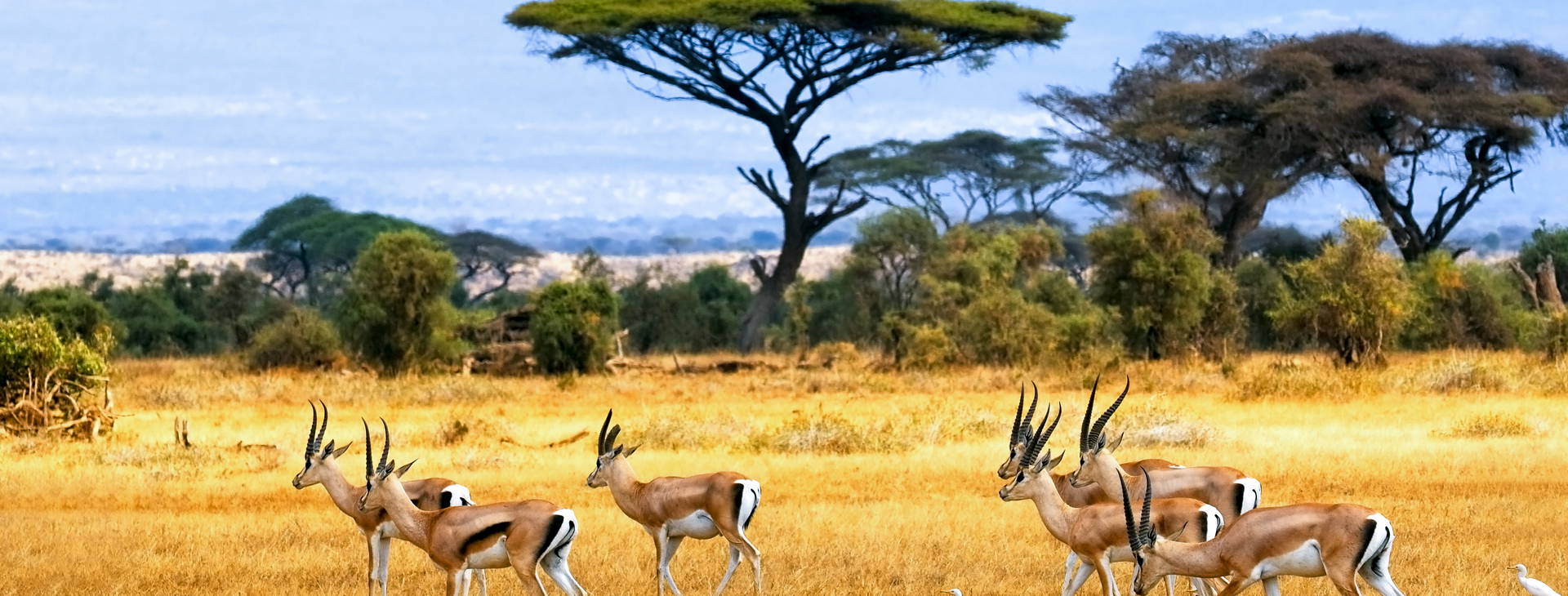 Kenya Bay KST Obrázok5