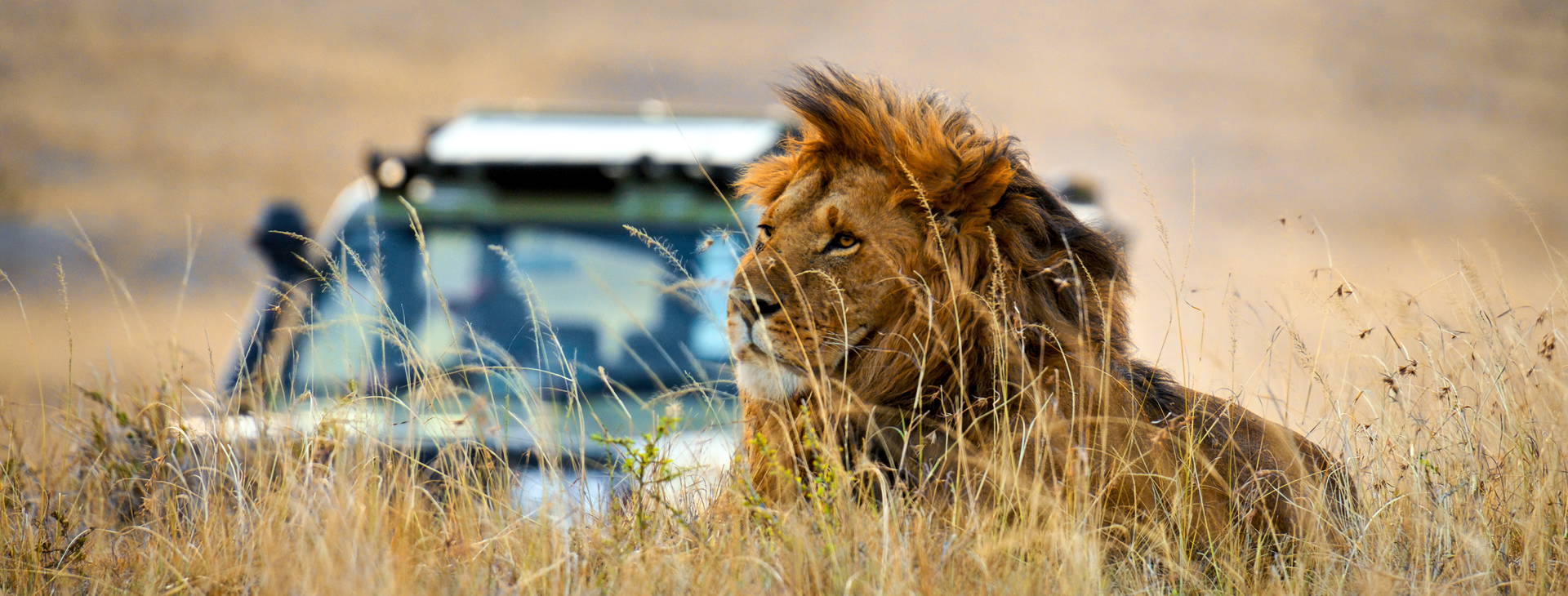 Leopard Beach Resort & SPA KST Obrázok6