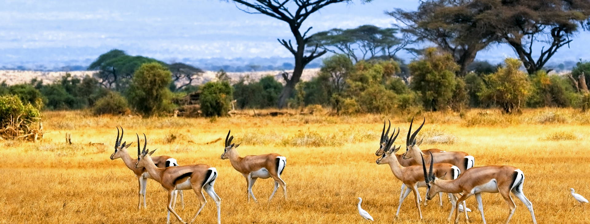 Leopard Beach Resort & SPA KST Obrázok13