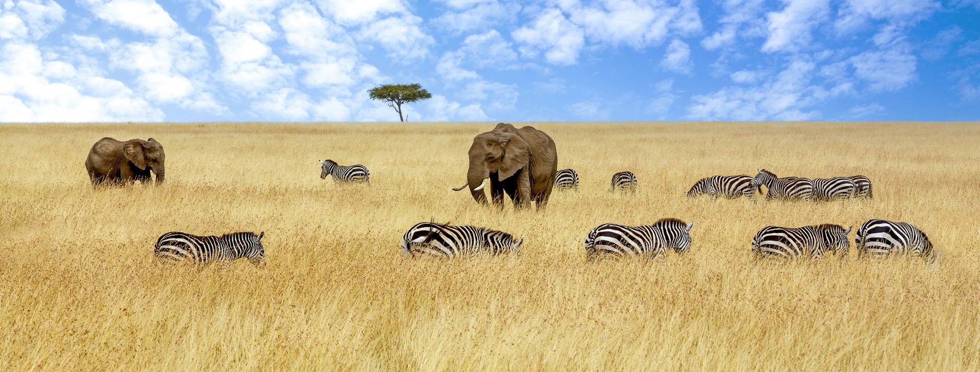 Leopard Beach Resort & SPA KSS Obrázok6