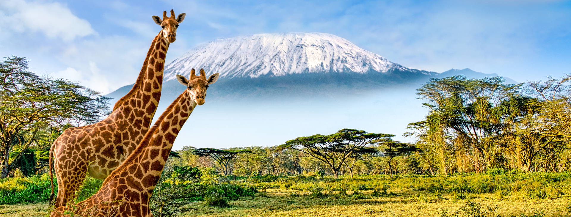 Leopard Beach Resort & SPA KST Obrázok14