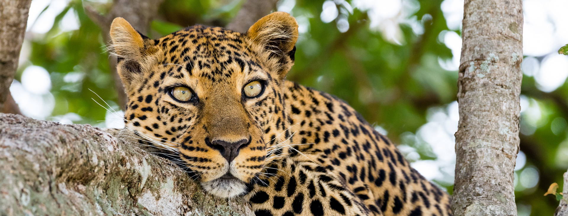 Neptune Beach Resort KST Obrázok3