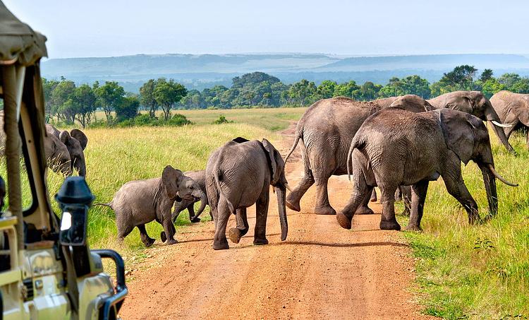 Neptune Beach Resort KSS-obr