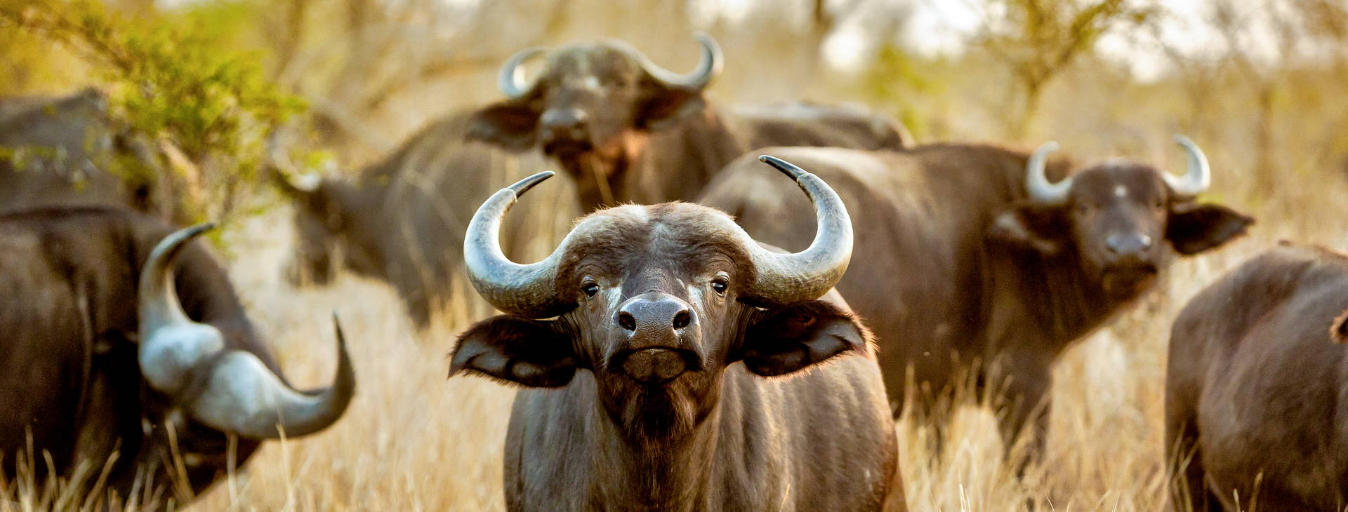 Neptune Beach Resort KSS Obrázok2