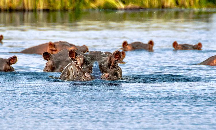 Neptune Beach Resort KST-obr