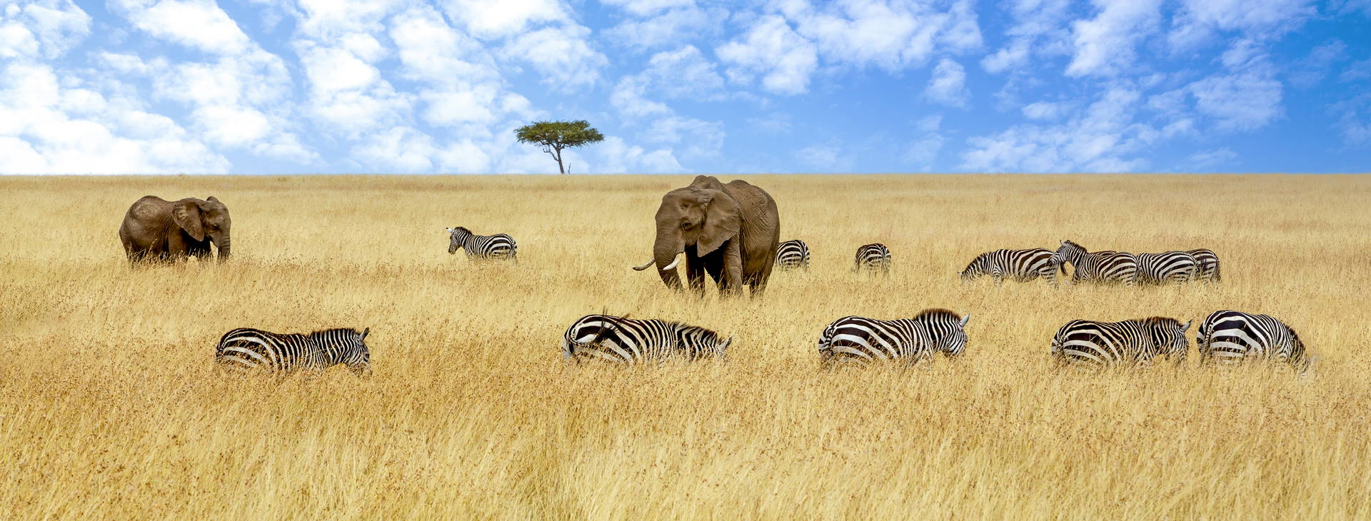 Neptune Beach Resort KSS Obrázok8