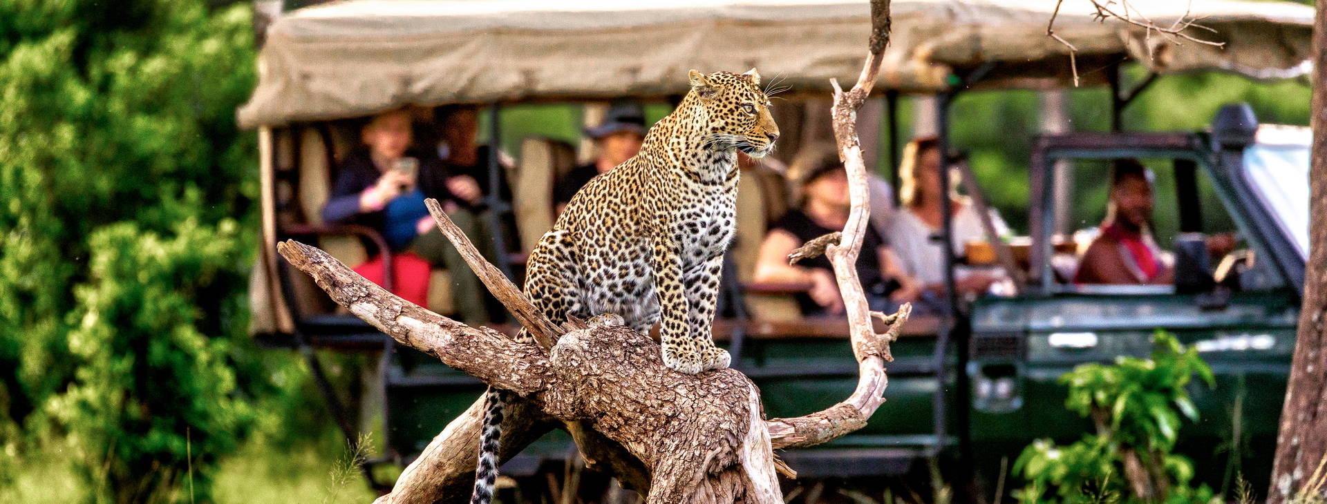 Neptune Beach Resort KSS Obrázok12